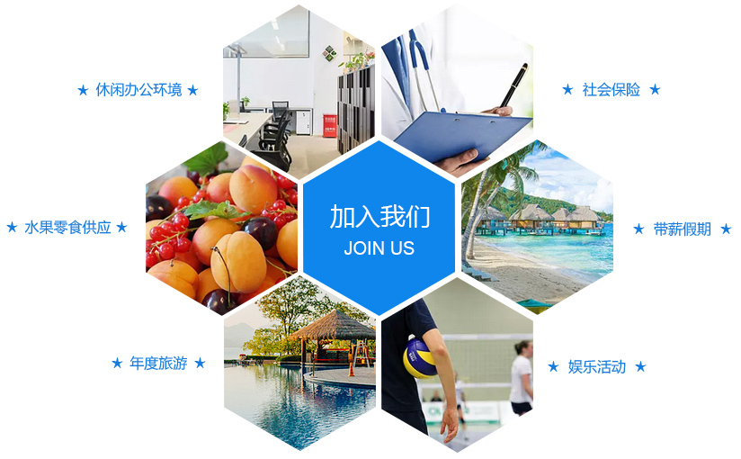 会议会展及相关服务