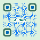 信息系统集成服务